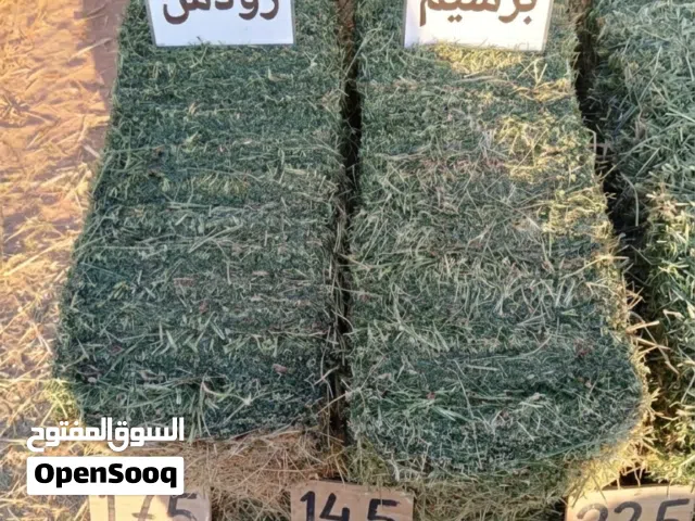 برسيم ورودس نخب أول للبيع في طبرجل - توصيل لكافة المناطق
