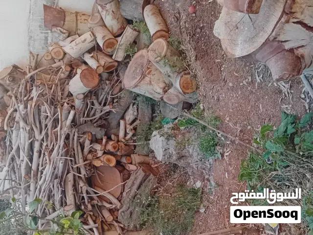 خشب وقرامي