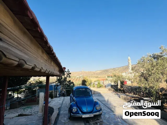 1973 فولكسفاغن بيتل