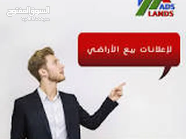 ارضية للبيع في العريش ساحل أبين
