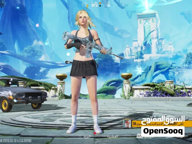 Pubg Accounts and Characters for Sale in Irbid