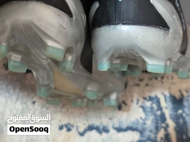 اسبيدر وا. اديداس الأصلي