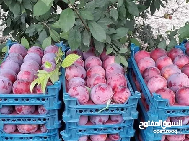 1 Bedroom Farms for Sale in Ajloun E'in Jana