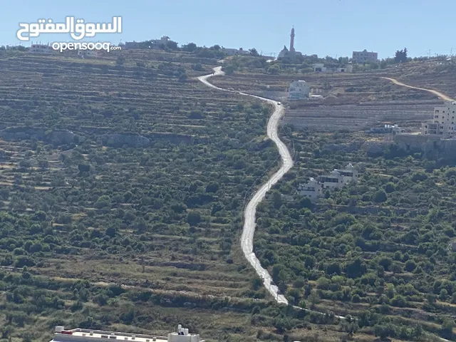 Residential Land for Sale in Ramallah and Al-Bireh Ein Yabrud