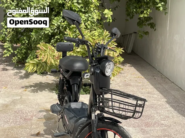 2019 Bajaj CT