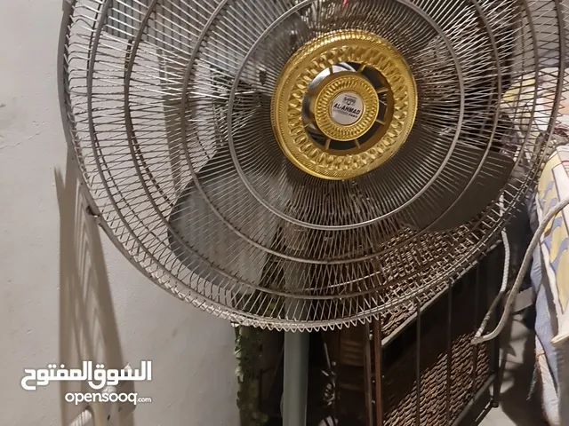BIG FAN in working condition