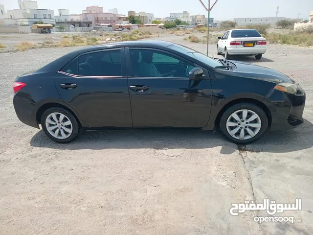 Toyota Corolla For Weekly or Monthly Rent