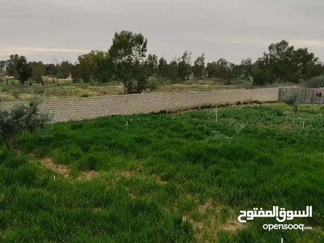 Mixed Use Land for Sale in Sorman Other