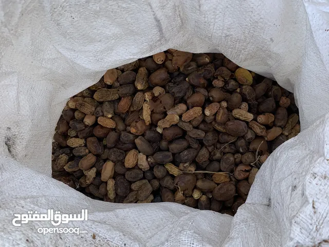 اعلاف تمر درجة اولى