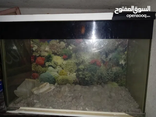 حوض سمك للبيع
