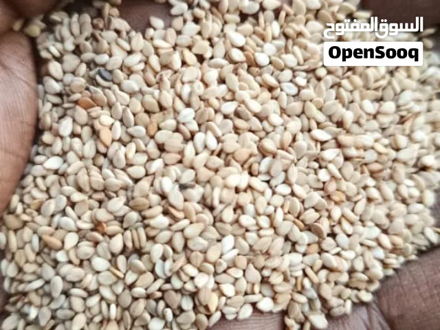 سمسم ابيض تنزاني  درجه اولي عالي النقاء