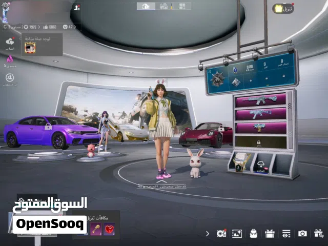 حساب ببجي للبيع