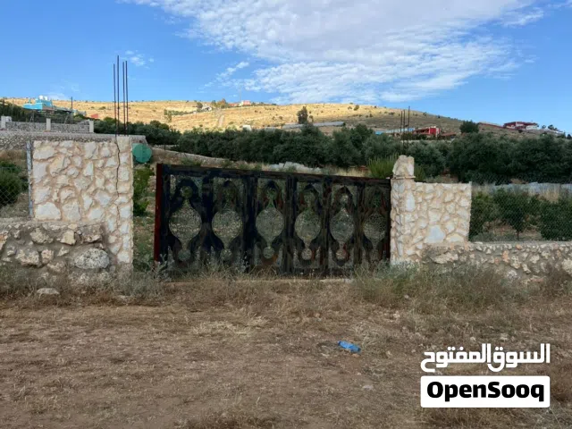 تملك فرصة مزرعة أحلامك في دحل اوستراد الزرقاء جرش مشجره زيتون واشجار فواكه