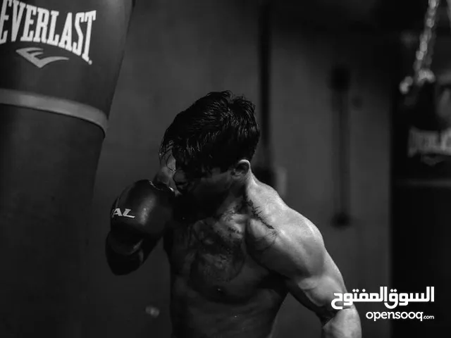 ( كيس ملاكمة (ساند باج) 160سم + قفازات ملاكمه + مشدات ) للبيع بسعر مميز جدا
