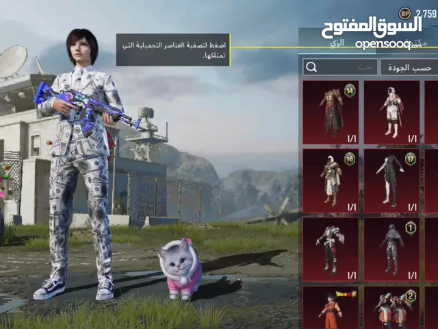 Pubg Accounts and Characters for Sale in Sana'a