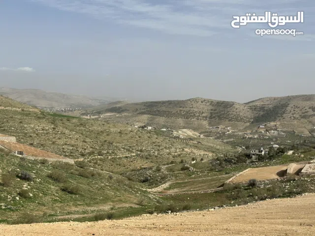 Farm Land for Sale in Zarqa Birayn
