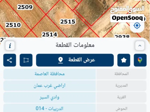 Residential Land for Sale in Amman Al-Dmenah