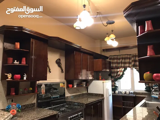 60 m2 Studio Apartments for Rent in Cairo First Settlement