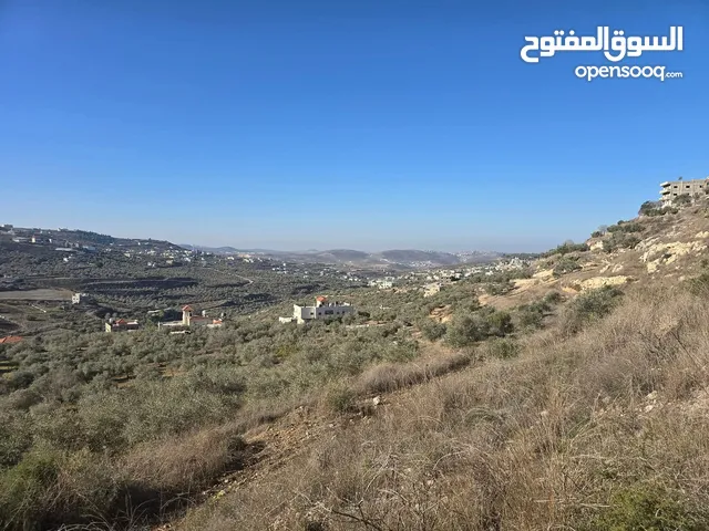 Mixed Use Land for Sale in Nablus Sebastia
