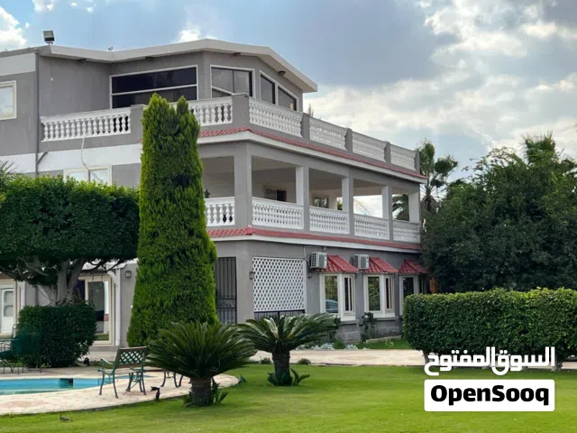 1000 m2 More than 6 bedrooms Villa for Sale in Monufia Sadat