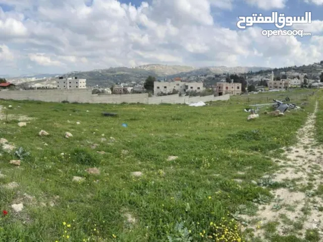 Residential Land for Sale in Nablus Tal Village