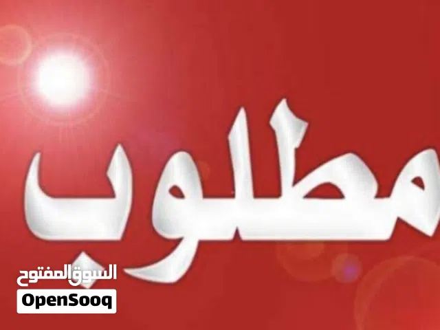 مطلوب ذكر مصري ماسح