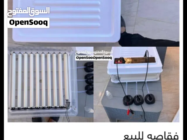 فقاسه مطلوب