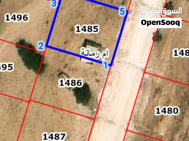 Studio Farms for Sale in Zarqa Um Rummanah