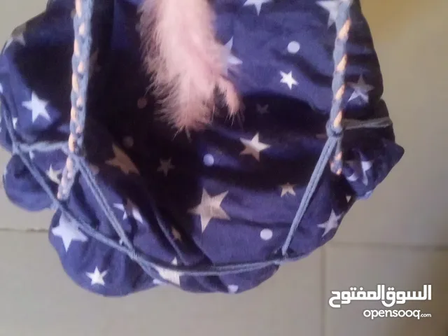 مراجيه صنع يدوي للقطط