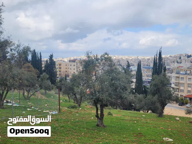 ارض للبيع في عرقوب خلدا