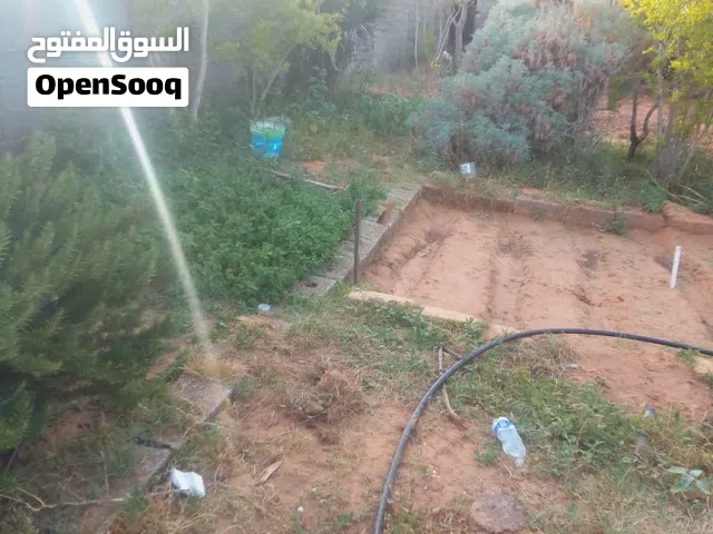 ارض للبيع للبيع للبيع