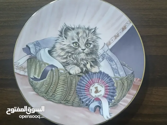 صحن ديكور مميز لهواة التحف والمقتنيات