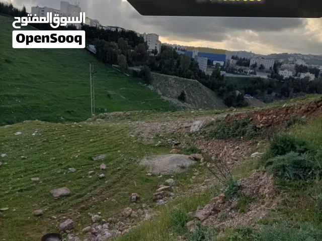 Residential Land for Sale in Salt Al Saro