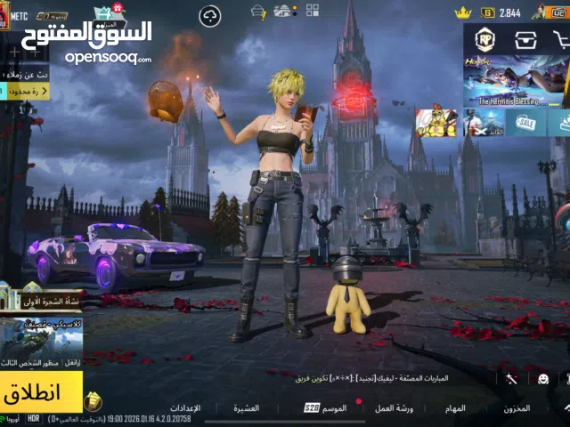 Pubg Accounts and Characters for Sale in Basra