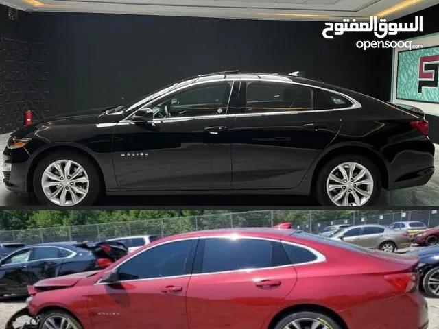 ويل كب حجم 17 ماليبو مراوس بريل 19 برايمر