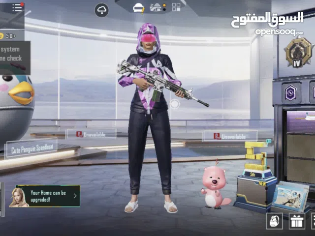 Pubg Accounts and Characters for Sale in Sabha