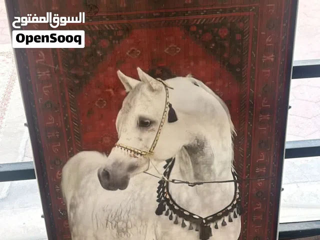 للبيع لوحه خيل جديدددده وجوده عاليه