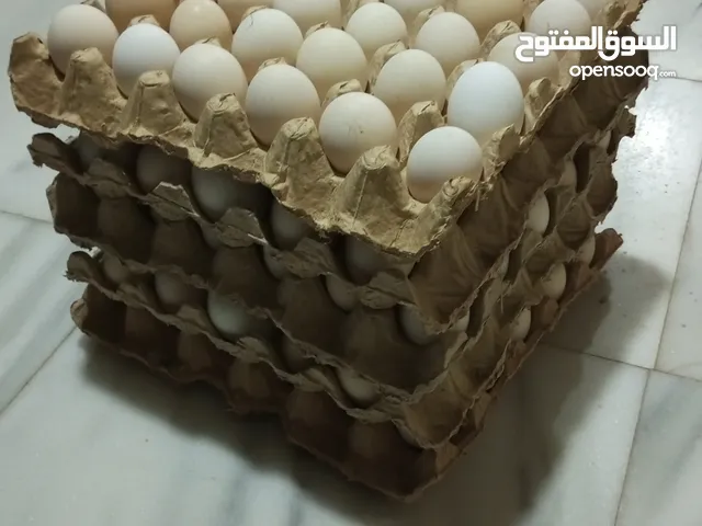 ماشاء الله...بيض عربي