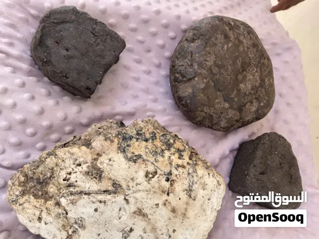 عنبر الحوت الخام البيع