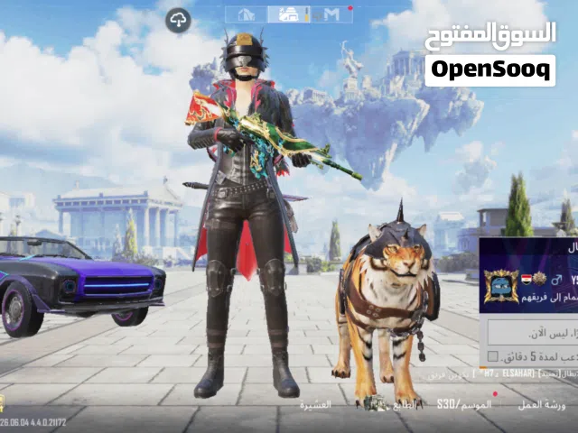 Pubg Accounts and Characters for Sale in Cairo