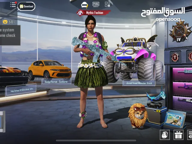 Pubg Accounts and Characters for Sale in Ramtha