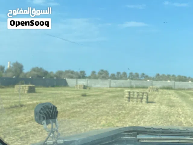برايد للبيع تتوفر كمية كبيرة