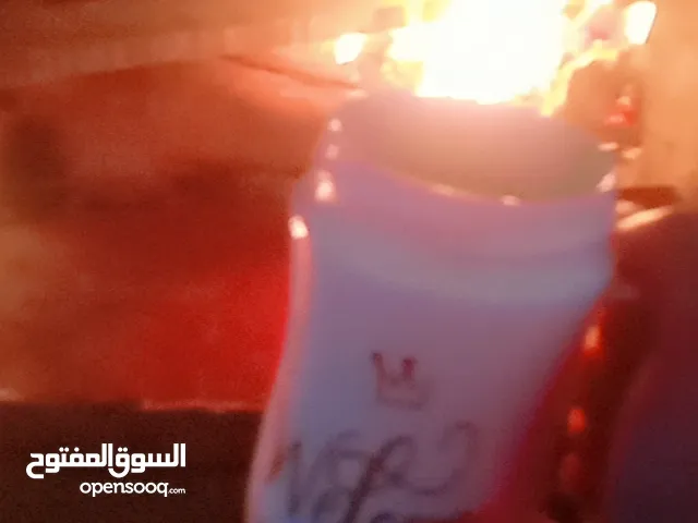 ليلي محمد عيسى شلالدة