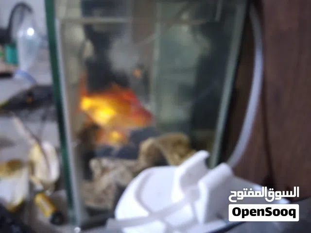 خفممقيةؤسغهقثىزكعلى