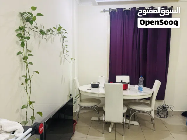 Vacation flat Fully furnished 1 bhk apartment available for rent from May or June for 3 to 6 months.