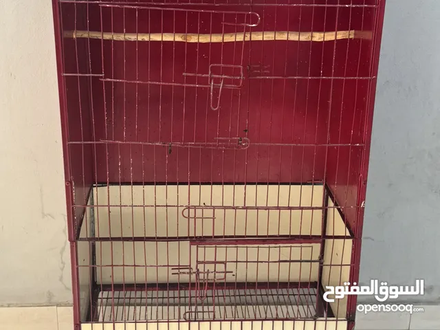 فقص حديد. ممتاز الطيور