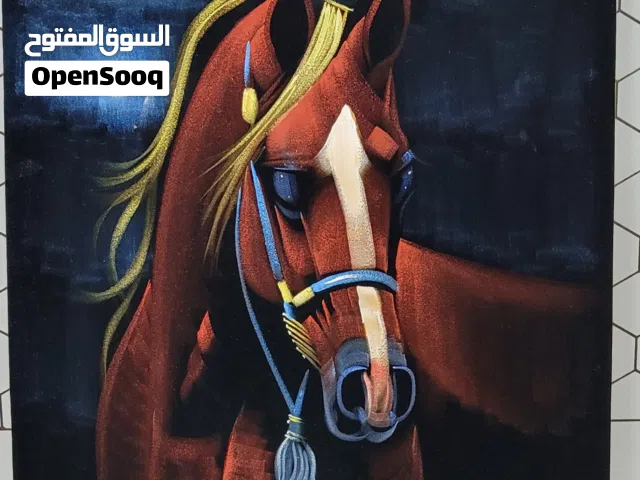 صورة لحصان