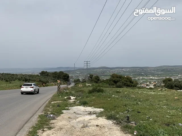 Mixed Use Land for Sale in Jenin Other