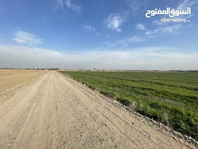 للبيع دونم مميز في ابو غريب / الشيحة