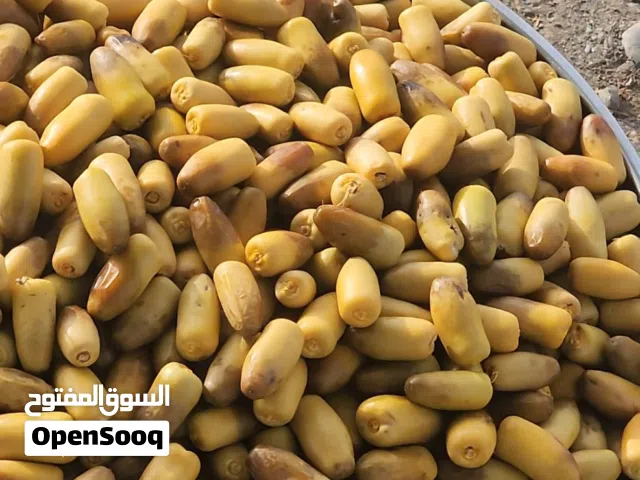 رطب فرش للبيع